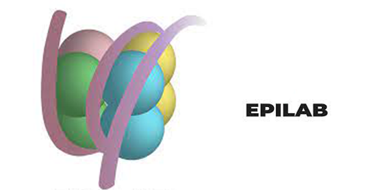 Epigenética y regulación transcripcional imagen