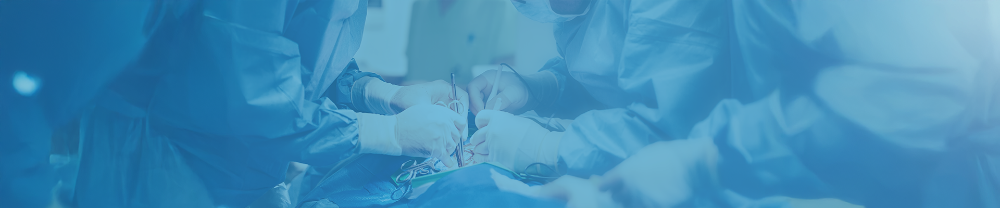 Imagen de fondo del banner